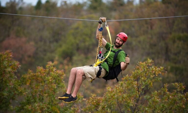 dream about zipline