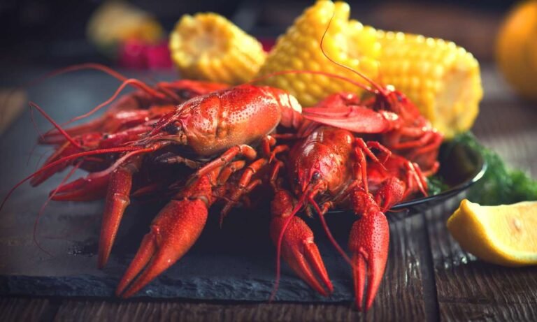 Crawling Beyond The Boil: Dream About Crawfish