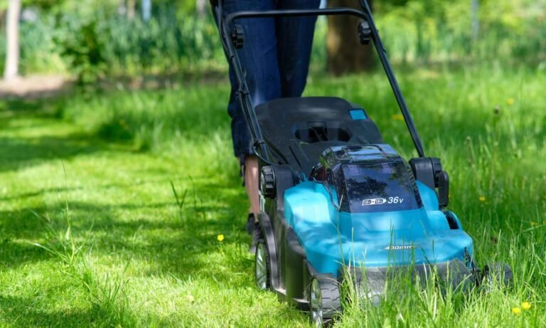 dream about cutting grass: What They Really Mean?