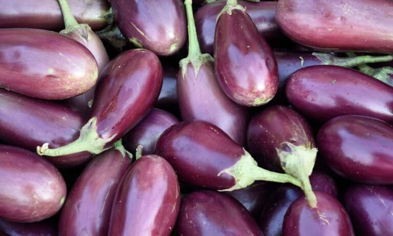 dream about eggplants