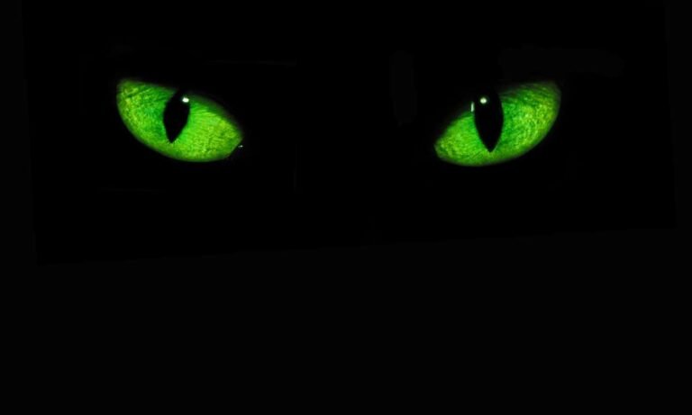 Dream About Evil Eye (13 Mysterious Symbolism & Meanings)