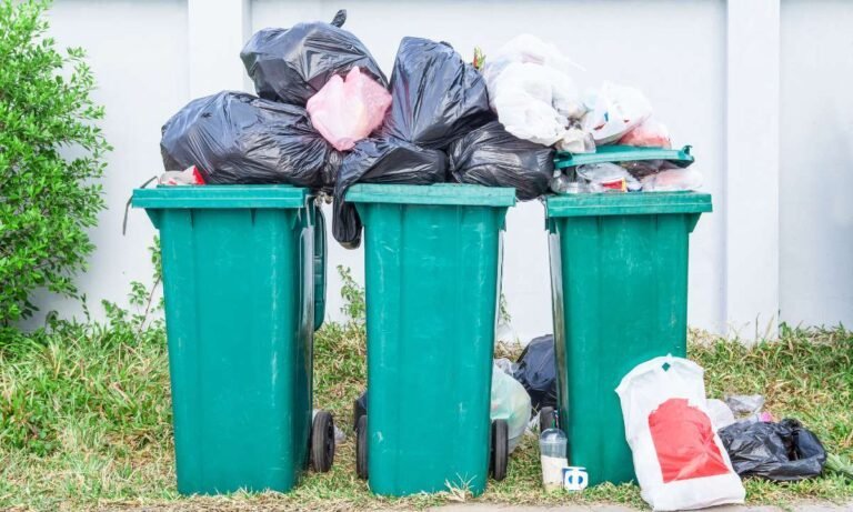 Behind The Hidden Gems Behind Dream About Garbage
