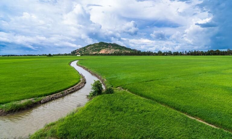 Dream About Irrigation