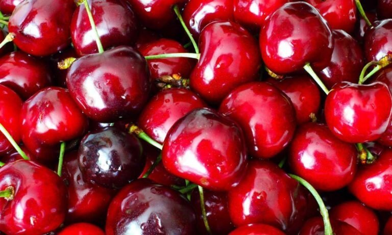 Trigger Warning: Dream About Cherries