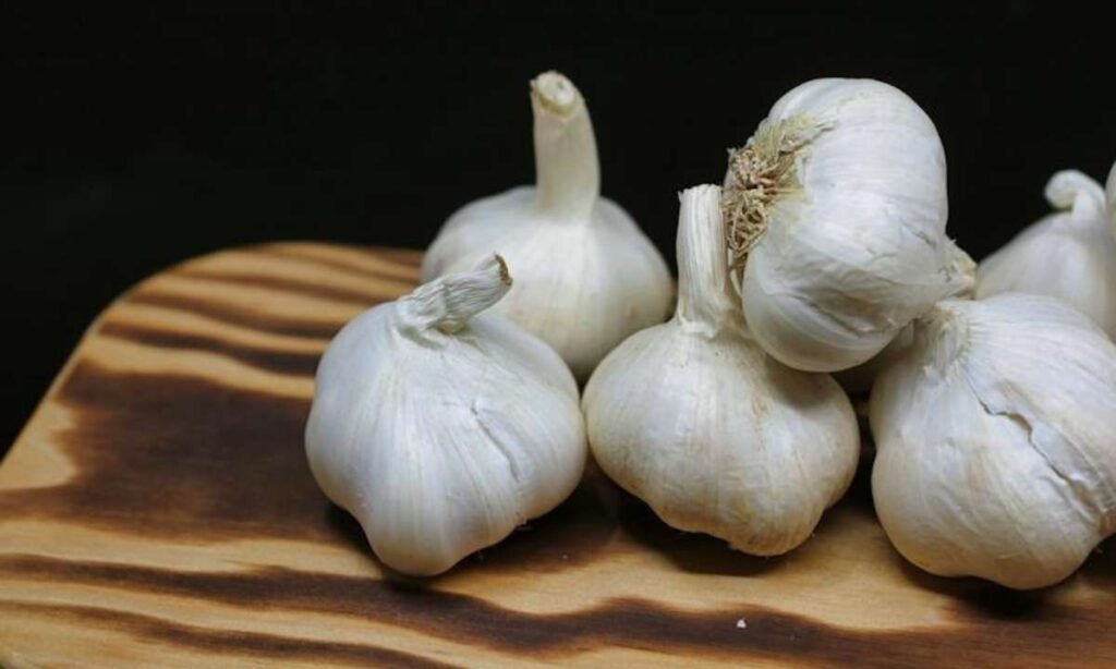 dream about garlic